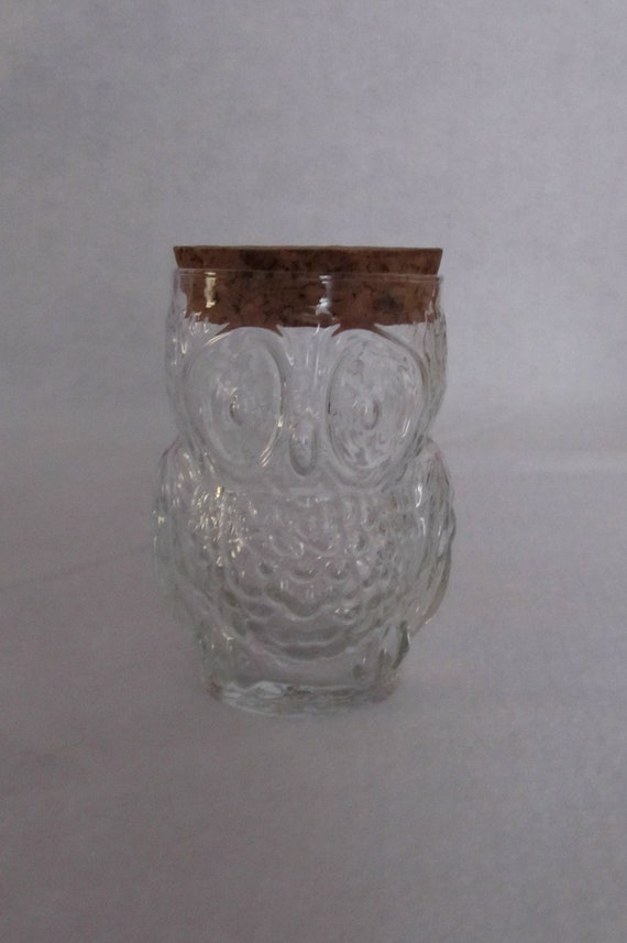 Vintage Clear Glass Owl Jar with Cork Lid
