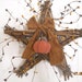 Twig Star Wreath With Fall Pumpkin and Pip Berries