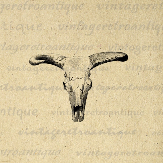 Printable Graphic Western Cow Skull by VintageRetroAntique on Etsy