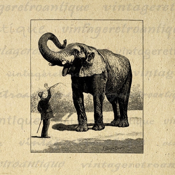 vintage elephant clip art - photo #19