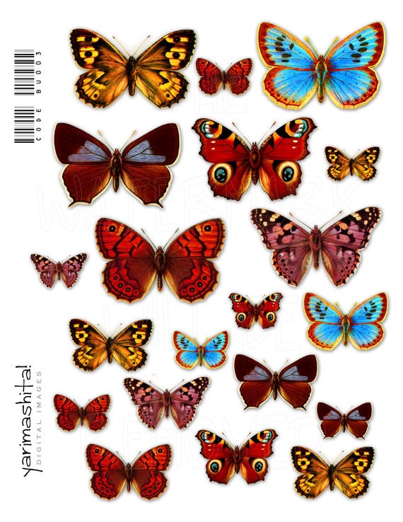 Vintage Butterflies Clipart Clip Art Printable Download