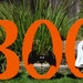 BOO Outdoor/Indoor Halloween sign.