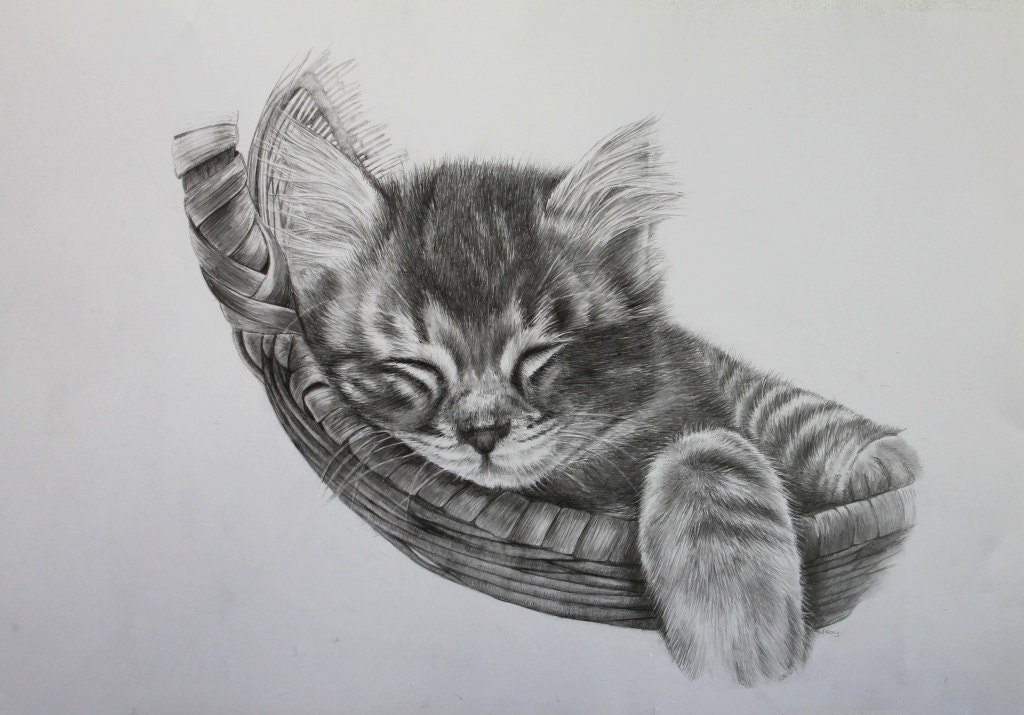 Рисунок кота сложный карандашом