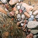 Fine art acrylic painting of rocks water pebbles sand and