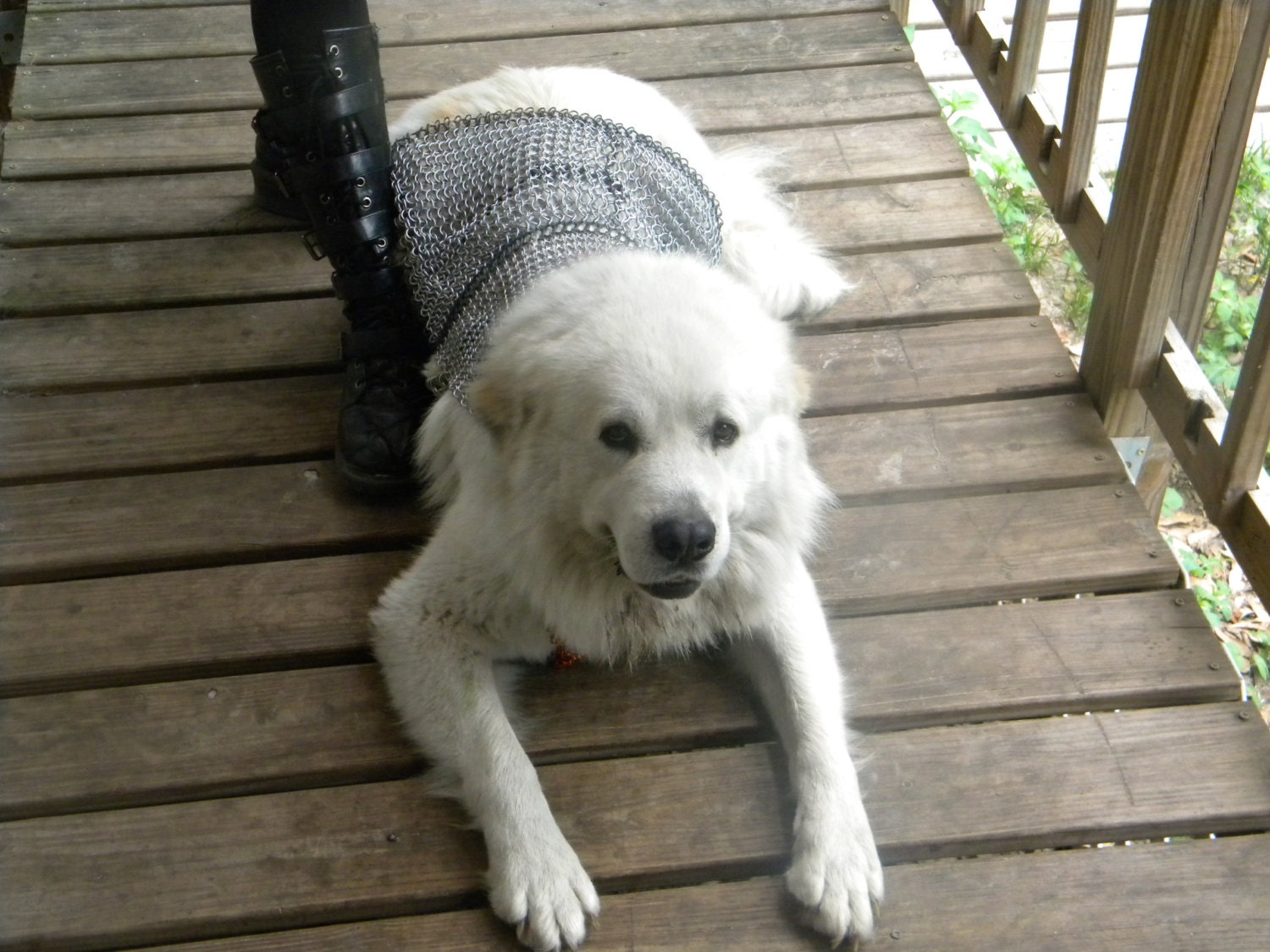 Chainmail Protective Dog Armor Hunting Class