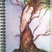 Mythical Goddess DAPHNE Lynne French Art Journal Diary 80 Pgs.Spiral Bound