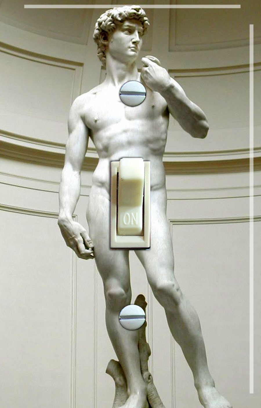 Michelangelo DAVID Switch Plate single FREE SHIPPING