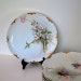 Vintage Plate Limoges H&Co France Floral Pink Green
