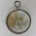 Vintage good luck REAL four 4 leaf clover in clear 3d bubble charm pendant silver tone metal jewelry parts supplies m116