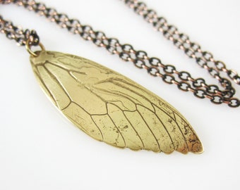 Cicada Wing Necklace, Entomology Necklace