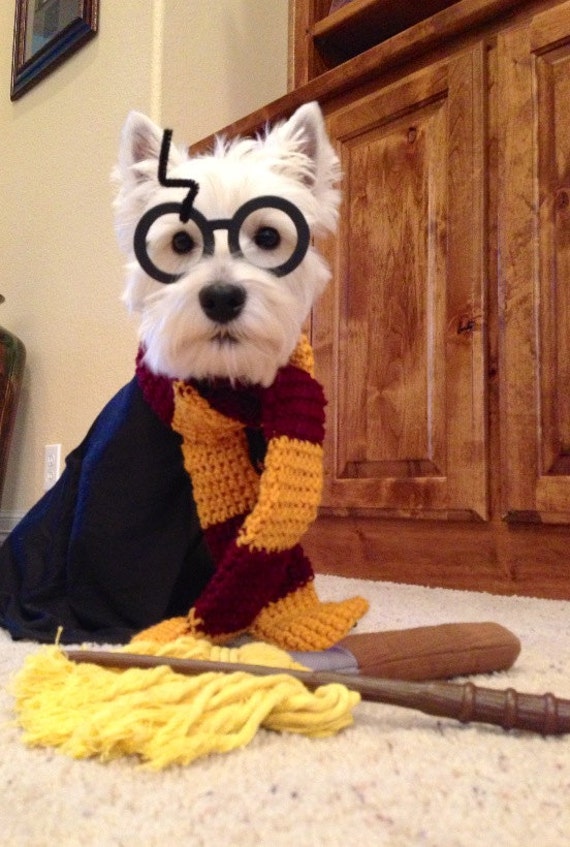 Harry Potter Gryffindor House inspired crocheted yarn wizard dog Scarf
