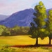 Original Landscape Oil Painting, Prairie Pines, 6x8 on Canvas, Oregon Landscape Tree Painting, Wall Art, Wall Decor