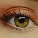 Beauty Bargain - Brick Red Eyeshadow - ANDROMEDA (134) Mineral Eye Shadow MINI - Glittery Brick Red Mineral Pigment - 3 gram Jar