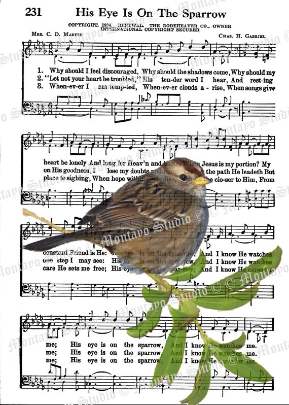 HIS EYE On The Sparrow  Wildlife Nature bird Spiritual Hymn  Song Page  4x6, 5x7, or 8x10  print   F R E E  Shipping