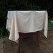 Vintage Blush Damask Tablecloth