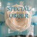 Specila Order for laceyhubbard, Wedding Garter Turquoise lace, Coral Rose, bridal garter I154, budget bridal garter accessory
