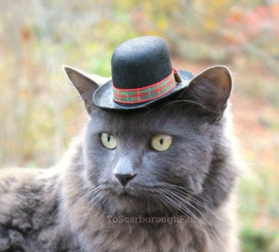 Cat Top Hat Tartan Hat