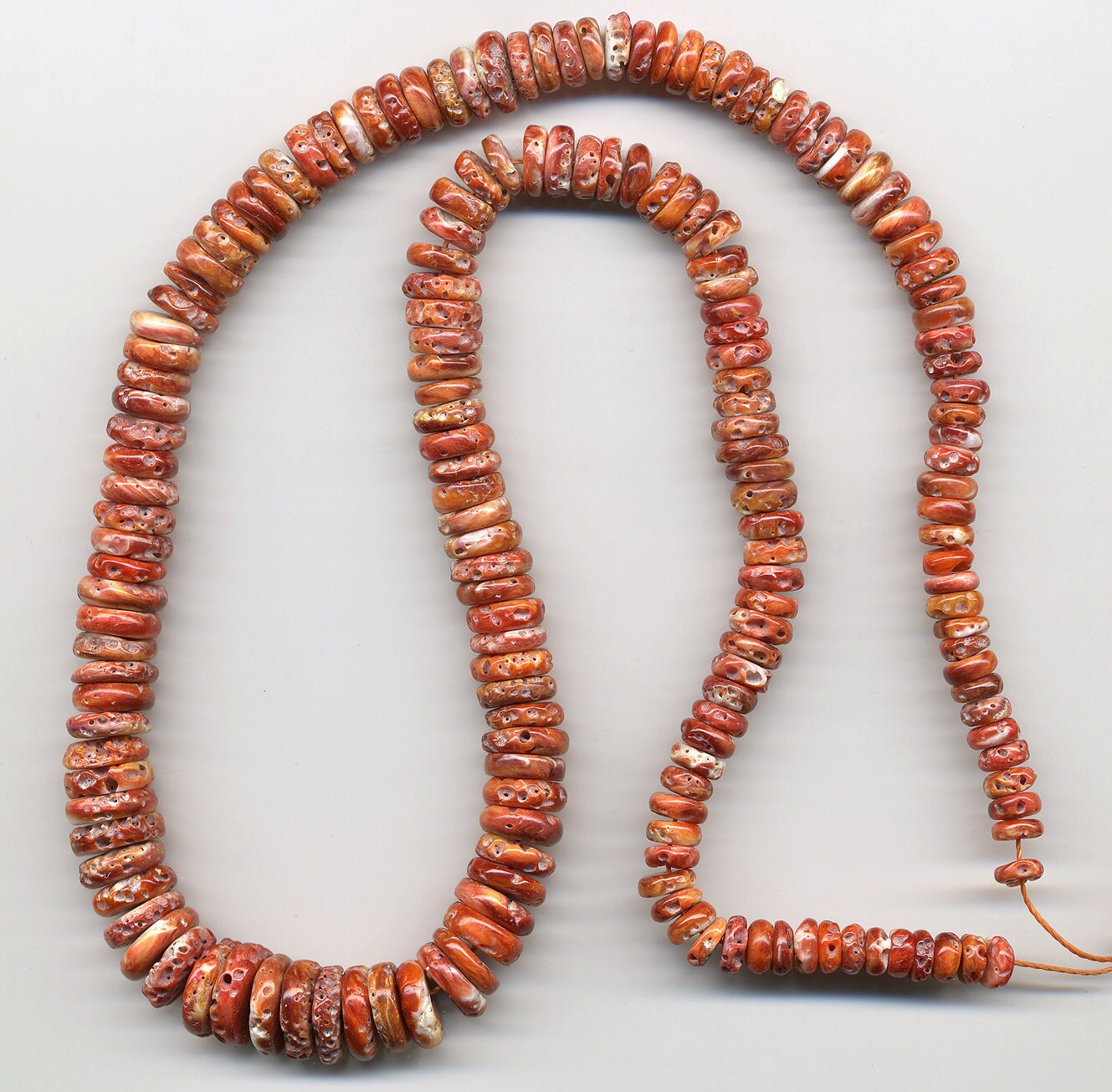 Spiny Oyster Shell Beads Natural Red Orange Color by eastofoz