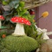 1 ceramic mushroom Statue pottery red amanita muscari .. .. Fairy Gnome Garden miniature gardens Glazed Glass Finish