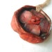 1 pendant Clay Bead Handmade Jewelry Artisan supplies red poppy(0)