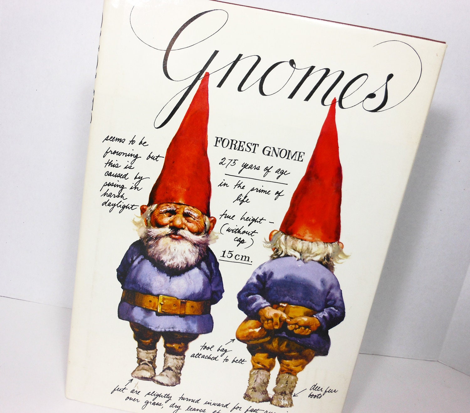 1977 Illustrated GNOMES book published by Harry N. Abrams Fantasy Spirits 1977 Illustrated GNOMES book published by Harry N. Abrams Fantasy Spirits