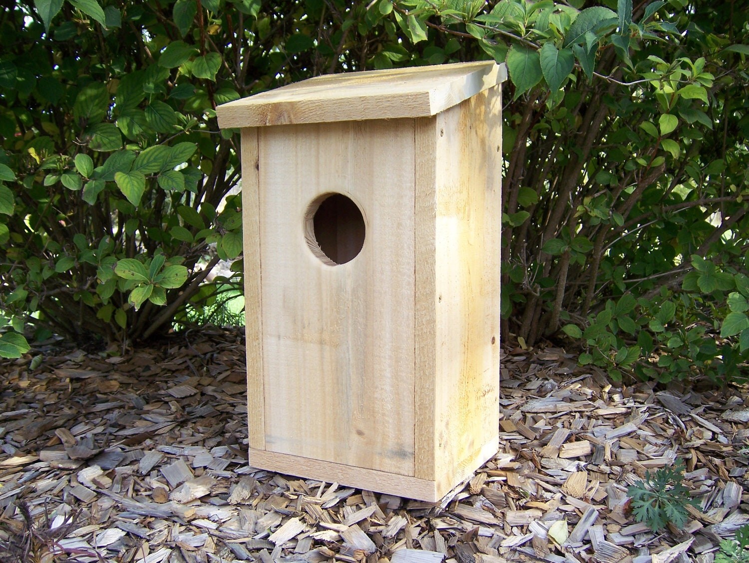 Screech Owl House American Kestrel Birdhouse White Cedar