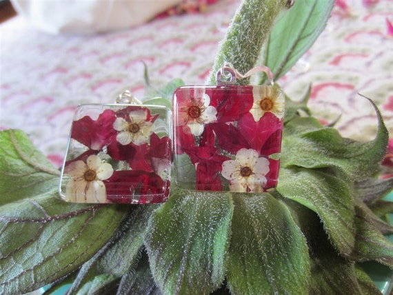 Christmas Ruby  Red  pressed Verbena and Linen Bridal Spirea behind  1x1 inch handcut glass earrings.