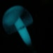 Strait Glowing Mushroom Head Dildo