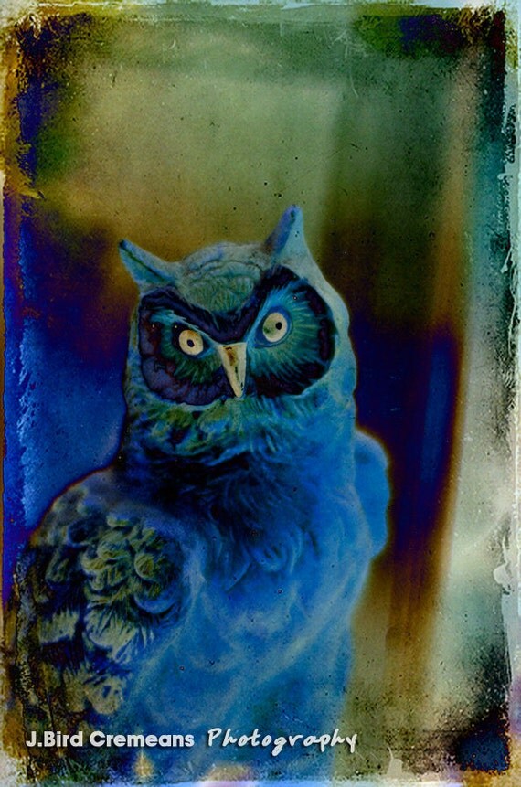 Items similar to Blue Owl 6x9 photograph Owl Decor Owl Painting