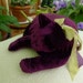 A Pansy Purple Velvet Cat