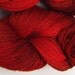 Jackalope hand dyed sock yarn fingering weight, 3ply superwash with nylon, 100g - Chili 3