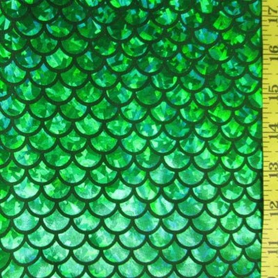 Kelly Large Fish Scale Lycra Fabric