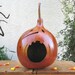 Halloween Gourd Jack O Lantern Natural Fall Harvest Spooky Pumpkin Decoration
