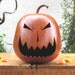 Halloween Gourd Jack O Lantern Natural Spooky Fall Harvest Pumpkin Decoration