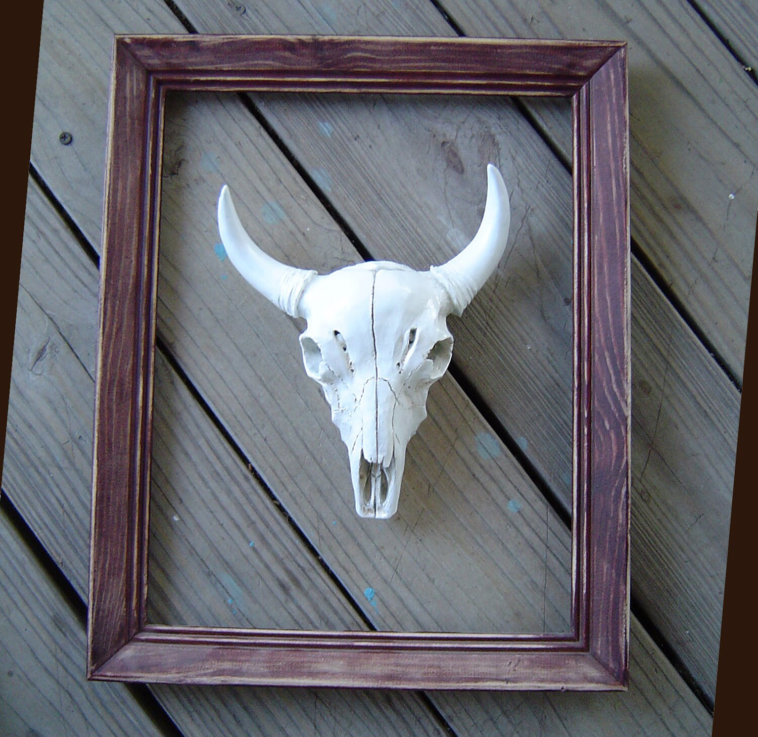Framed Cow Skull Wall Decor / Faux Taxidermy / White / Home