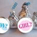 108 Hershey's Kiss Stickers, Baby Gender Reveal, Pink, Blue