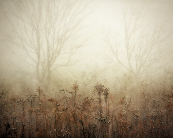 Foggy Landscape Photograph gold autumn morning by FirstLightPhoto