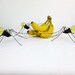 A Trio of Pale Yellow Spiders Repurposed Art