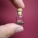 Tyrannosaurus / T-Rex in a tiny bottle