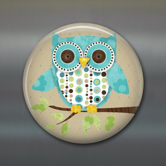 Owl Kitchen Decor Owl Decor For The Kitchen Owl Ts For 