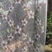 vintage lace door panels, french panels, lace curtains