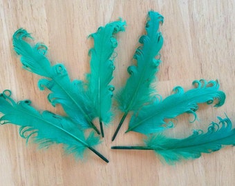 3 Loose Nagorie Feathers - Kelly Green