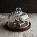 Glass Display Cloche with Rustic Wooden Base