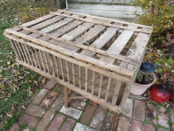 Vintage chicken coop plans Sowing and Protecting Plants and Chicken Cleanliness