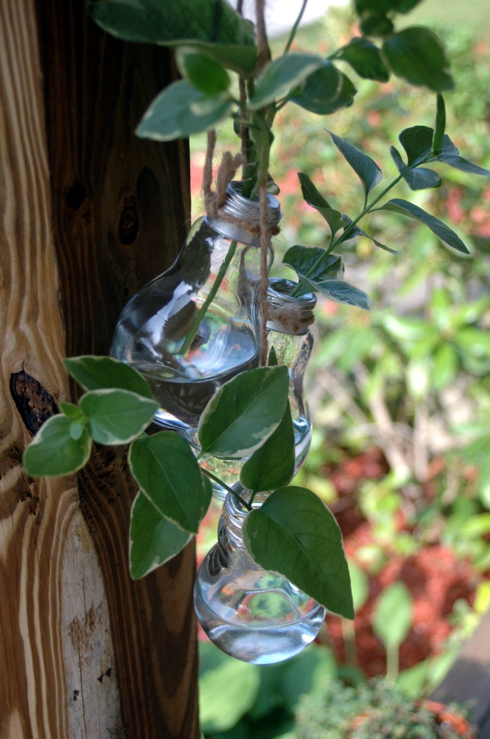 3 Glass Light Bulb Flower Vase Stem holder by PineknobsAndCrickets