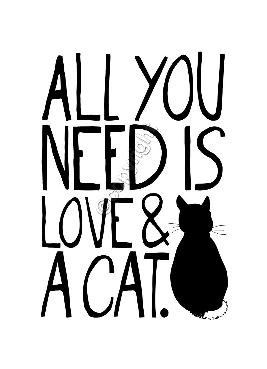 All You Need Is Love And A Cat No 009 / 8x10 INSTANT