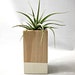 Oatmeal // Wood Colorblock Container Cube - Leonamiana // Planter // Home and Garden
