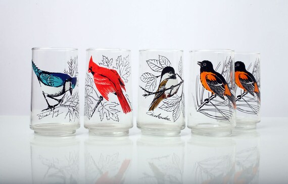 American Songbird Drinking Glasses by Anchor by TheVintageHog