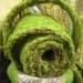 Moss Ribbon