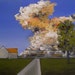 The Longest Day - Original Oil Painting